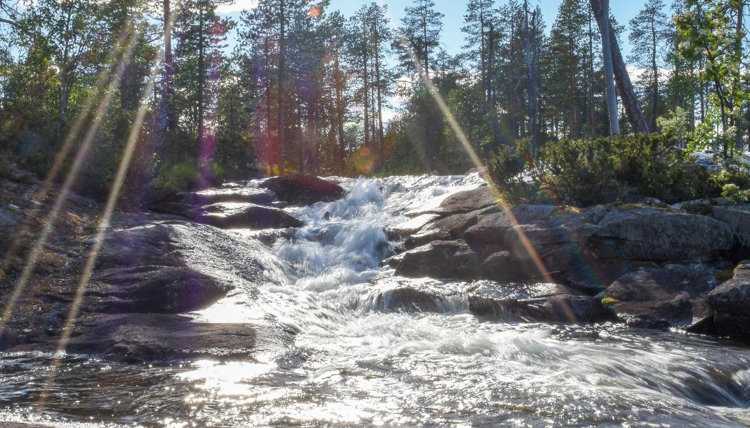 Trollforsen, Moskosel, Sverige. Foto: Niklas Jonasson/Unsplash